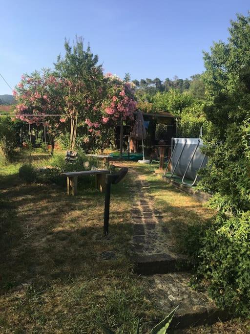 Apartamento Le Rose , Relax In Casolare Del 1700 Sarzana Exterior foto